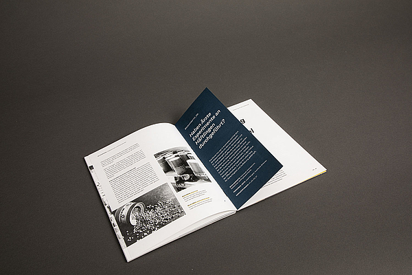 Success Story: Schaffa, schaffa, Typo baua