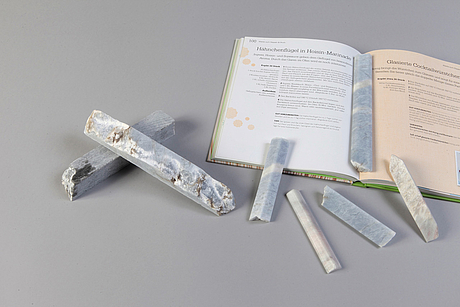 Bachelorstudium Design, Handwerk & materielle Kultur