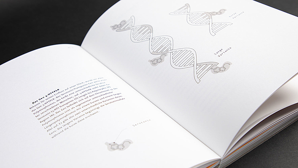 Bachelorstudium Grafik- & Informationsdesign