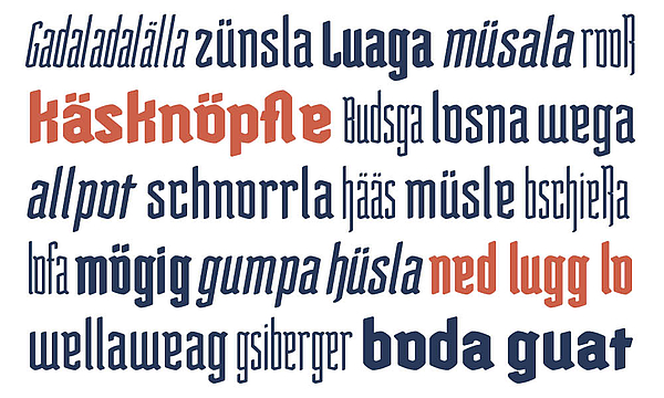 Success Story: Schaffa, schaffa, Typo baua