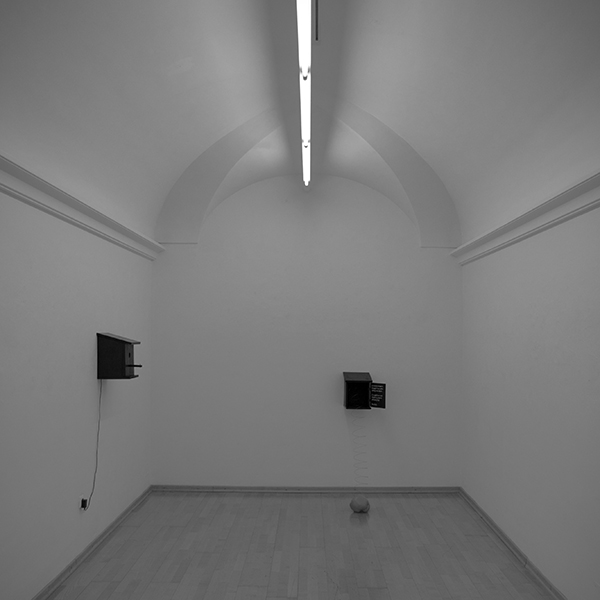 Ein leerer Raum mit zwei schwarzen Vogelh&auml;usern