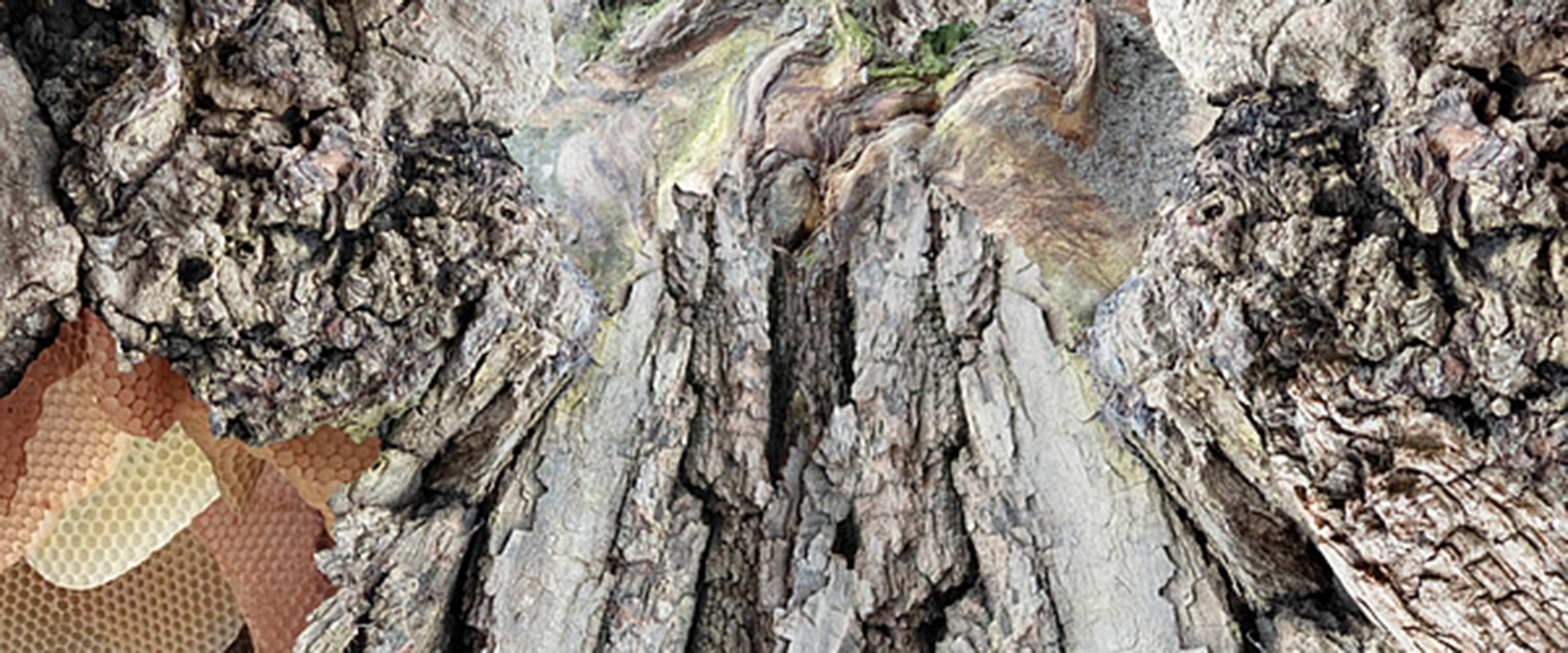 Ein KI-generiertes Bild von Baumrinde und Bienenwaben