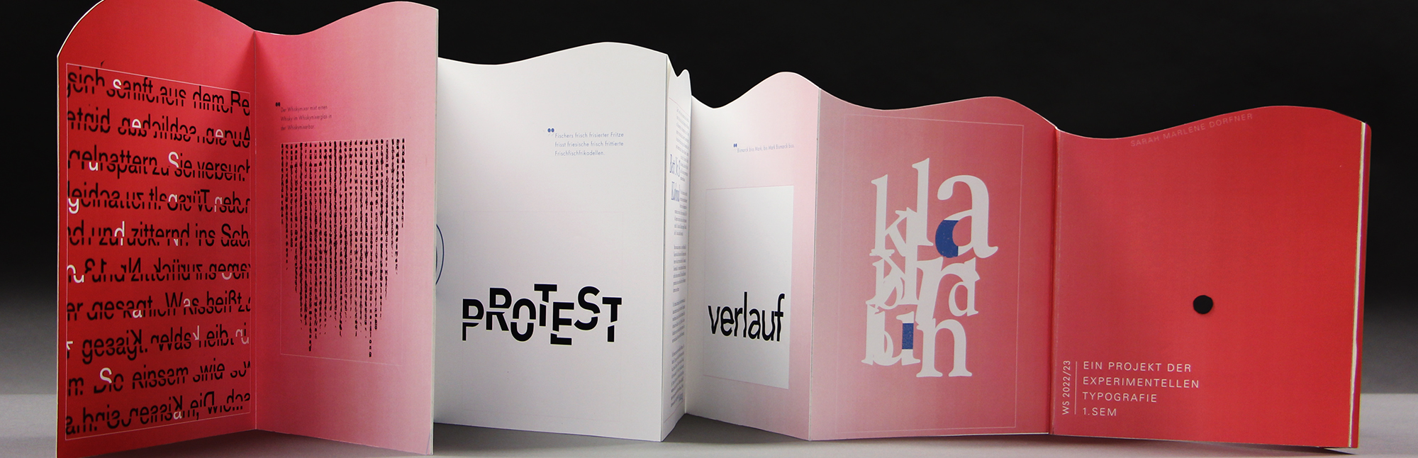 Projektarbeit von Sarah Dorfner