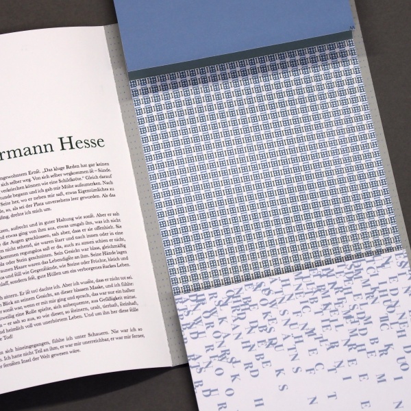 Projektarbeit von Barbara Reisner