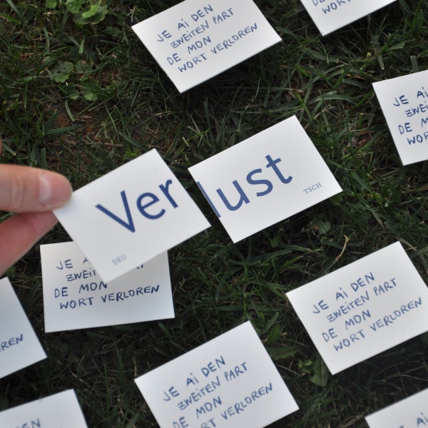 Bachelorarbeit - das »Wörter Memory« liegt auf der Wiese bereit zum spielen, die Karten »Ver« und »lust« sind aufgedeckt
