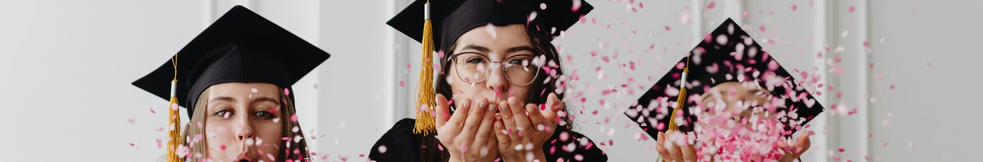 Bachelor-Studieng&auml;nge